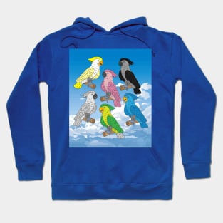 Colorful Cockatoo Bird Parrot Hoodie